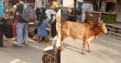 दुर्ग में सांडों की लड़ाई के चपेट में आए 2 छात्रा, आखिर कब जागेगा नगर निगम?…..गोधाम योजना का लाभ कहां? सड़कों पर घूमते आवारा पशु, हादसों का खतरा बरकरार